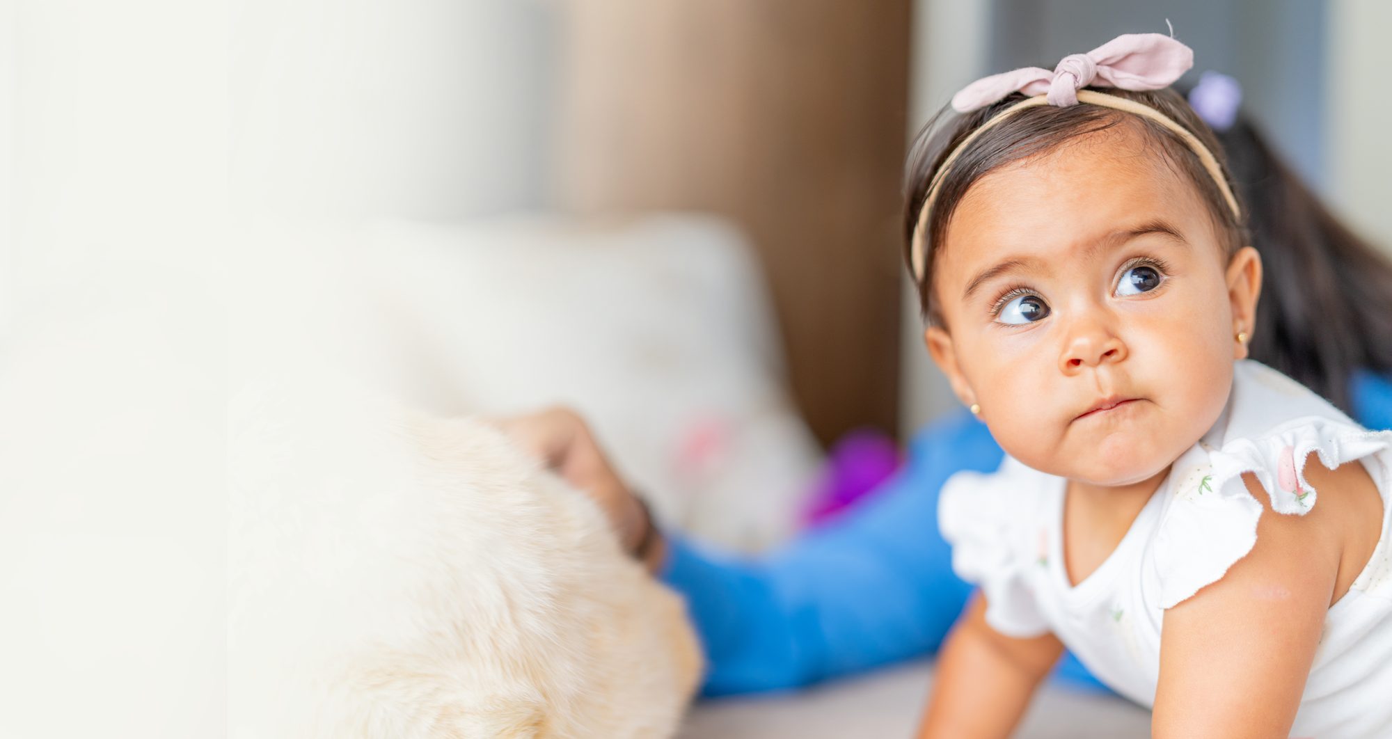 A baby girl with a pink bow looking up curiously